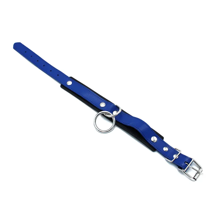 Male Sex Toys | Kiotos Kiotos - Zwart/Blauwe Lederen Collar met Grote O-Ring