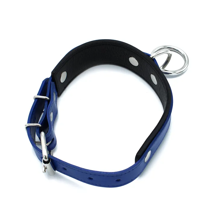Male Sex Toys | Kiotos Kiotos - Zwart/Blauwe Lederen Collar met Grote O-Ring