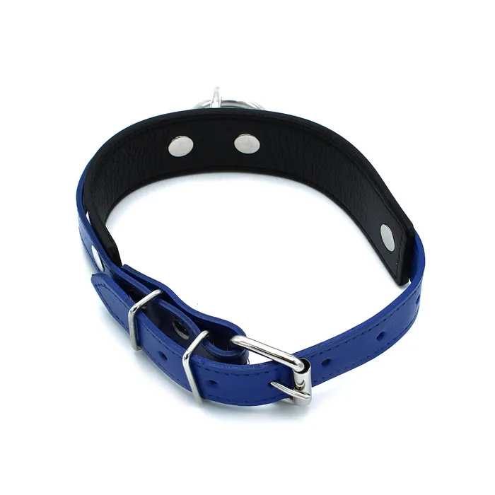 Male Sex Toys | Kiotos Kiotos - Zwart/Blauwe Lederen Collar met Grote O-Ring